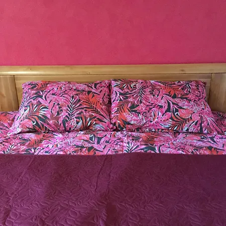 Lejlighed Cat Garden Domina