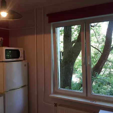 Cat Garden Domina Riga