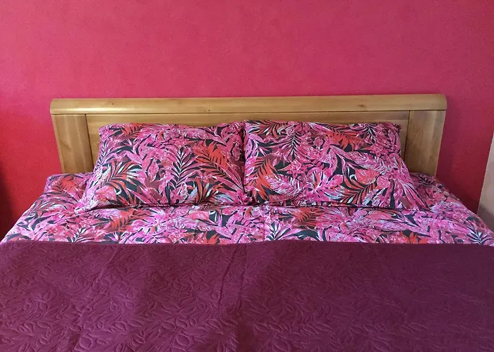 Apartment Cat Garden Domina