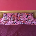 Apartament Cat Garden Domina