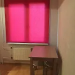 Cat Garden Domina