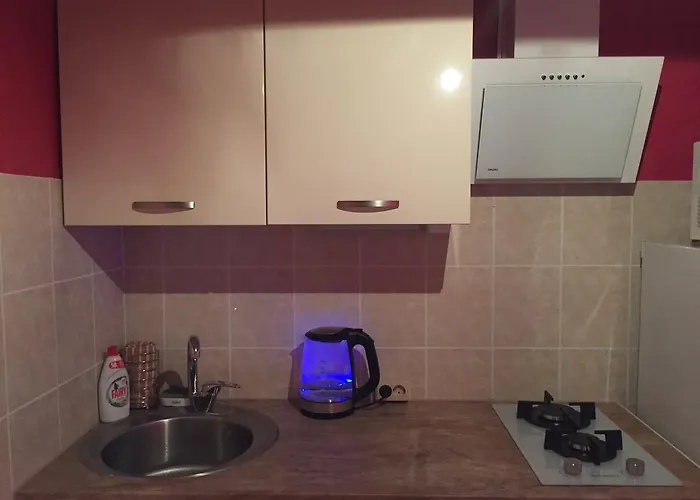 Cat Garden Domina Riga