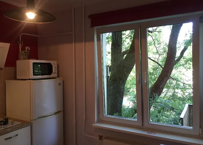 Cat Garden Domina Рига